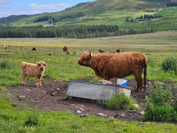 Edinburgh and elsewhere